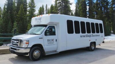 Jasper: Wildlife and Waterfalls Tour with Lakeshore Hike