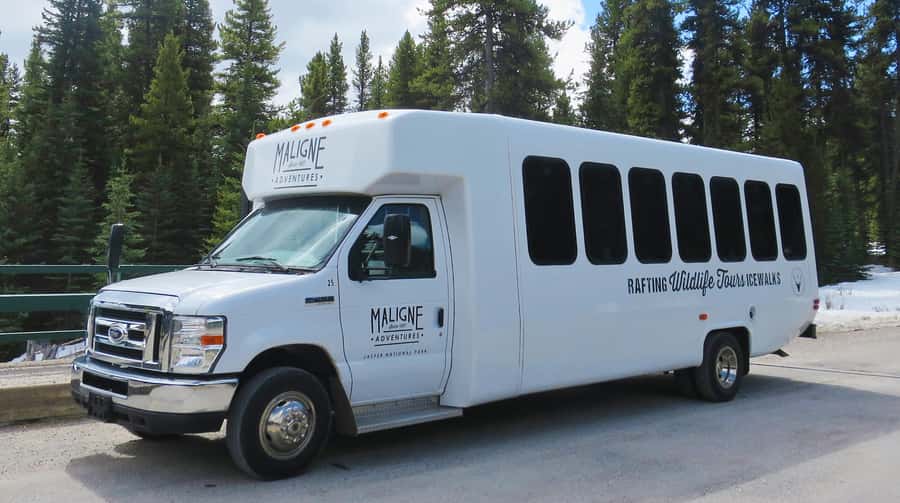 Jasper: Wildlife and Waterfalls Tour with Lakeshore Hike - Maligne Canyon and the uncertain waterfall stop