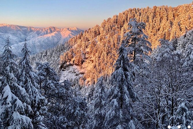 Kaflani Day Hike - Mussoorie - Walking through Himalayan forest