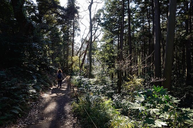 Kamakura One Day Hike Tour with Government-Licensed Guide - A smart way to see Kamakura in six hours