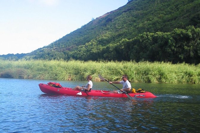 Kauai Adventure: Kayak & Hike to Secret Falls with Expert Guide - What guides add to the outing