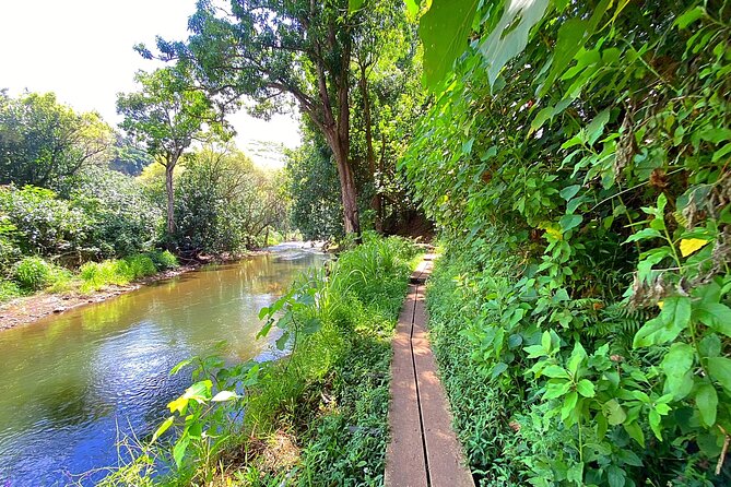 Kauai Adventure: Kayak & Hike to Secret Falls with Expert Guide - How hard is the five-hour adventure?