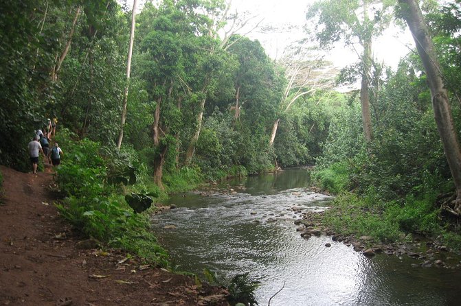 Kauai Adventure: Kayak & Hike to Secret Falls with Expert Guide - Secret Falls and the 100-foot payoff