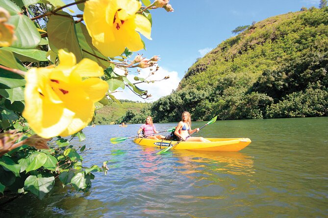 Kauai: Secret Falls Kayak and Hike - The rainforest trail to Uluwehi Falls