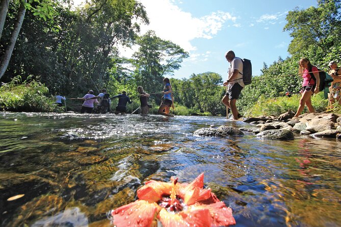 Kauai: Secret Falls Kayak and Hike - Paddling the Wailua River for 4 miles