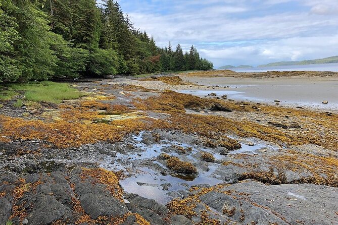 Ketchikan Electric Bike and Rain Forest Hike Ecotour - Pickup instructions you should read twice