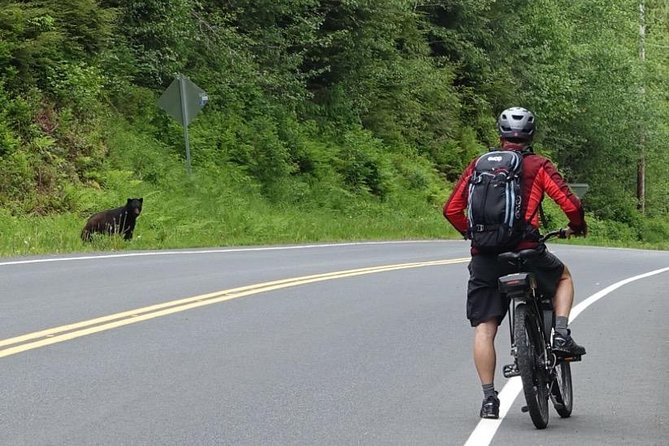 Ketchikan Electric Bike and Rain Forest Hike Ecotour - The e-bike ride from the marina to the road’s end