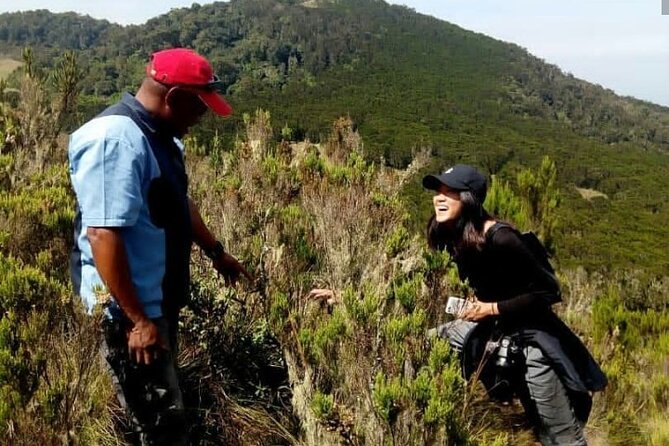 Kilimanjaro 1 Day Hike - The Marangu Route through montane forest