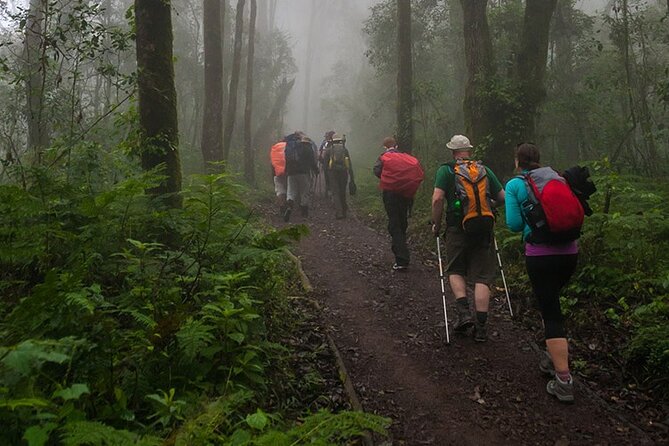 Kilimanjaro 1 Day Hike - The guide makes the difference