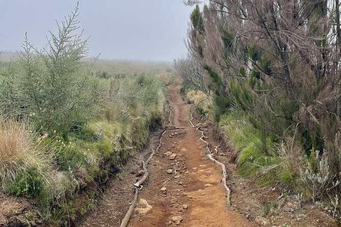 Kilimanjaro 1 Day Hike - What the $250 price covers