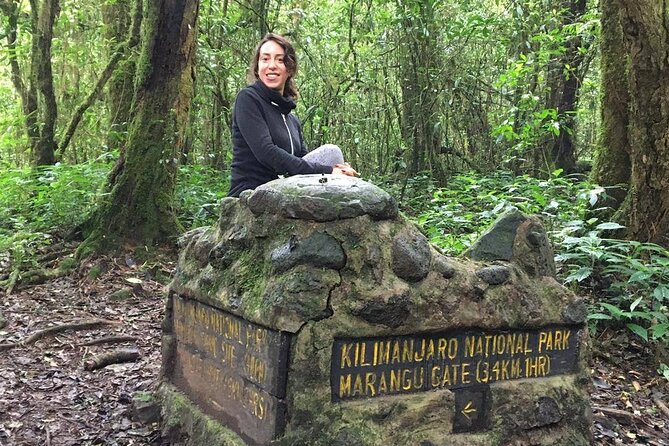 Kilimanjaro Day Hike - Reaching Mandara Hut for lunch