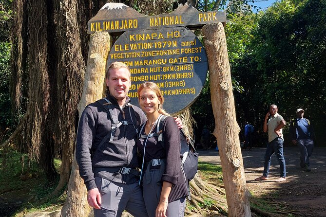 Kilimanjaro Day Hike - Returning through the forest
