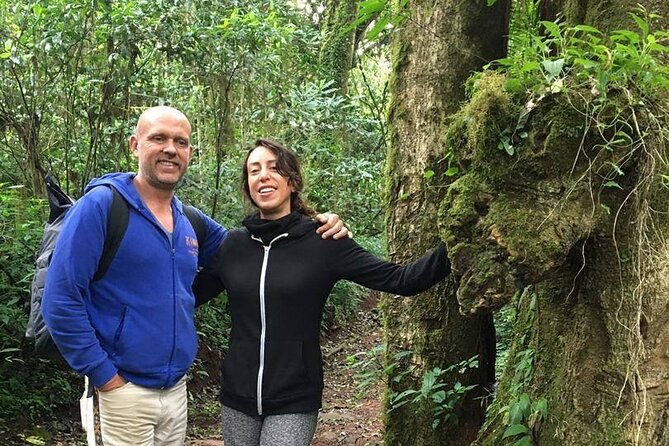 Kilimanjaro Day Hike - What is included for $250