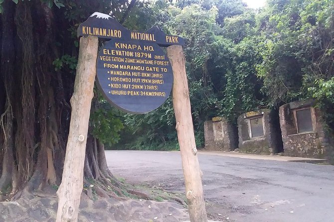 Kilimanjaro Day Hike - Fitness, clothing, and useful preparation