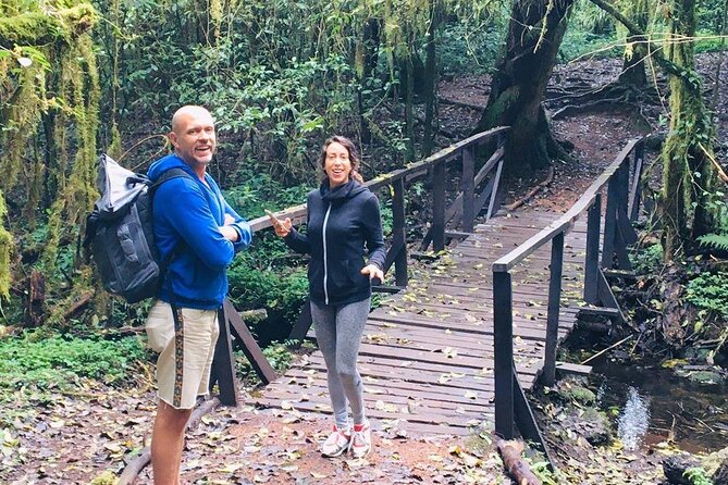 Kilimanjaro Day Hike - Walking into Kilimanjaro’s rainforest