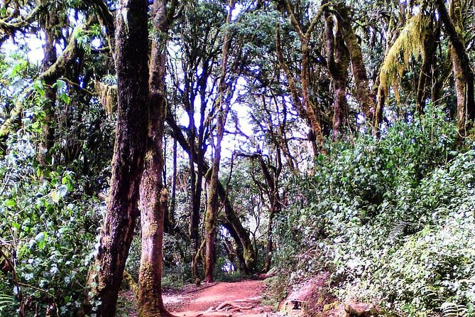 Kilimanjaro Private 2 Days Hiking Tour - Booking, cancellation, and the final call
