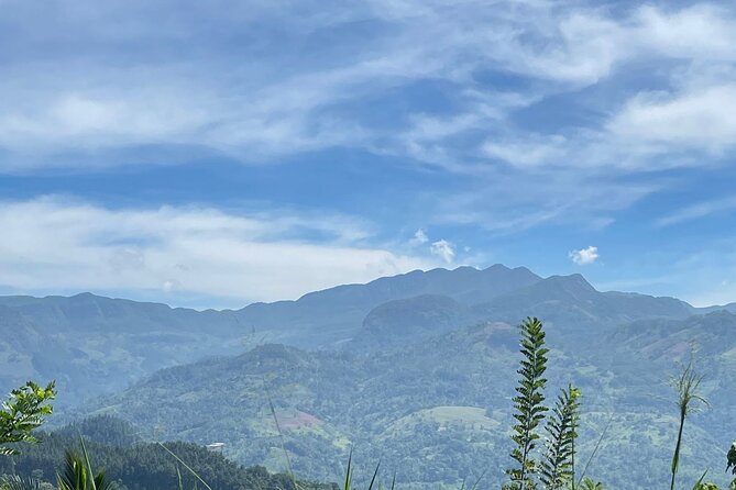 Knuckles five Peaks hiking and Waterfall - Key points to know before booking