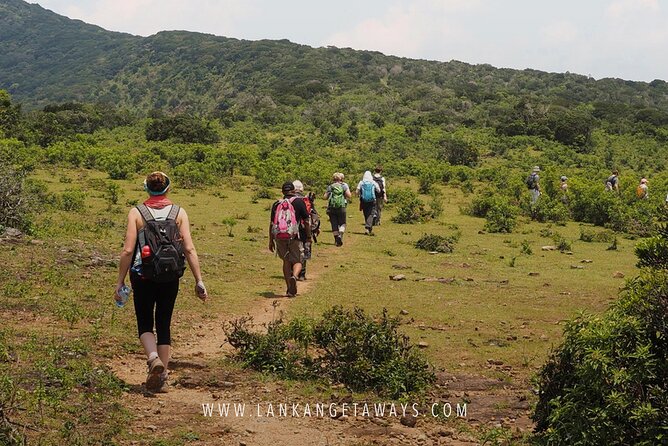 Knuckles Mountain Hiking - What to bring, and what not to expect