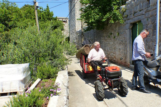 Kolocep Island Hiking and Swimming Full Day Trip from Dubrovnik - Lunch at a family-run beach restaurant