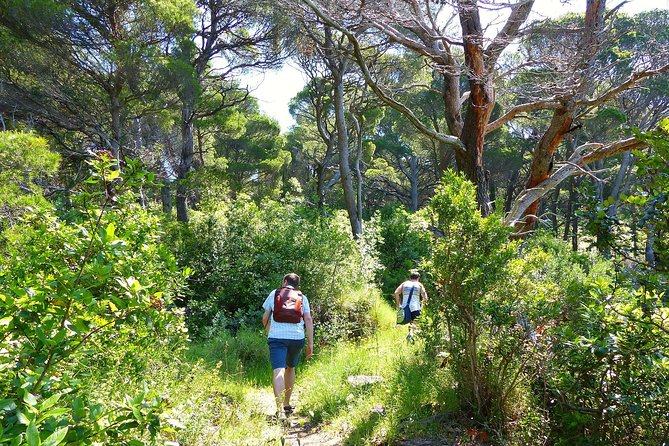 Kolocep Island Hiking and Swimming Full Day Trip from Dubrovnik - Who should book this Koločep hike