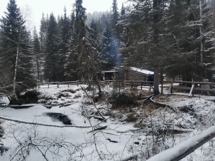 Korouoma Canyon Frozen Waterfalls Hike & Private Teepee BBQ - Key points about the Korouoma day trip