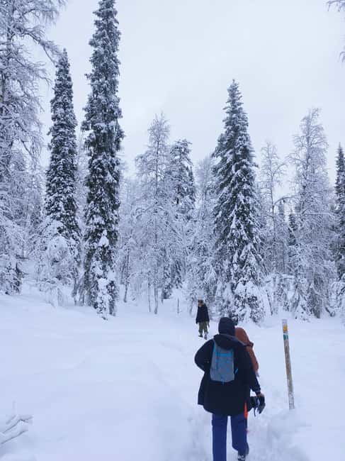 Korouoma Canyon Frozen Waterfalls Hike & Private Teepee BBQ - Frozen waterfalls and the changing face of winter