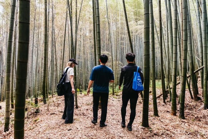 Kyoto: 3-Hour Fushimi Inari Shrine Hidden Hiking Tour - The first bamboo grove and off-pavement trails