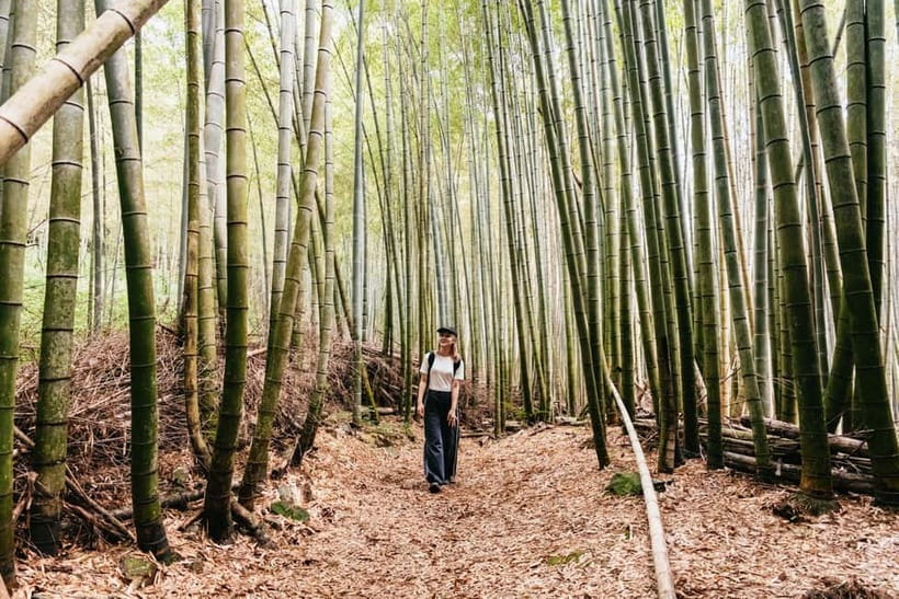 Kyoto: 3-Hour Fushimi Inari Shrine Hidden Hiking Tour - Meeting at Tofukuji Station