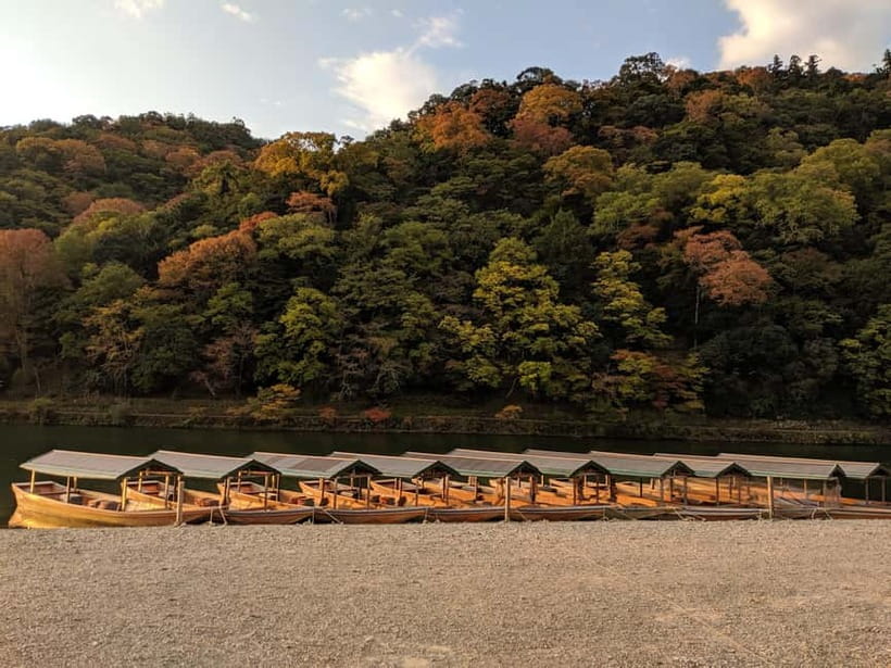 Kyoto: Arashiyama Bamboo Grove, Monkey Mountain Walking Tour - Who should book this tour?
