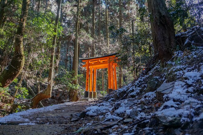 Kyoto: Fushimi Inari Hidden Hike (Private) - Key points to know before booking