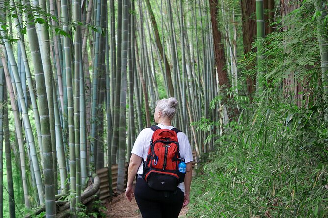 Kyoto: Fushimi Inari Hidden Hike (Private) - The torii gates and Senbon Torii