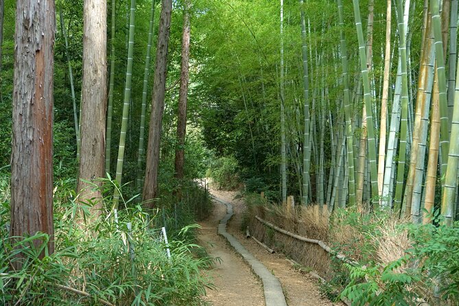 Kyoto: Fushimi Inari Hidden Hike (Private) - Is $62.26 per person good value?