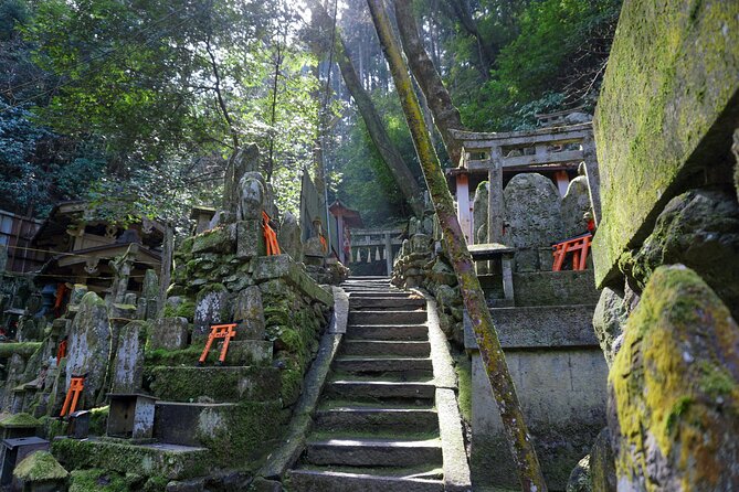 Kyoto: Fushimi Inari Hidden Hike (Private) - Meeting near Tofukuji at 8:30 am