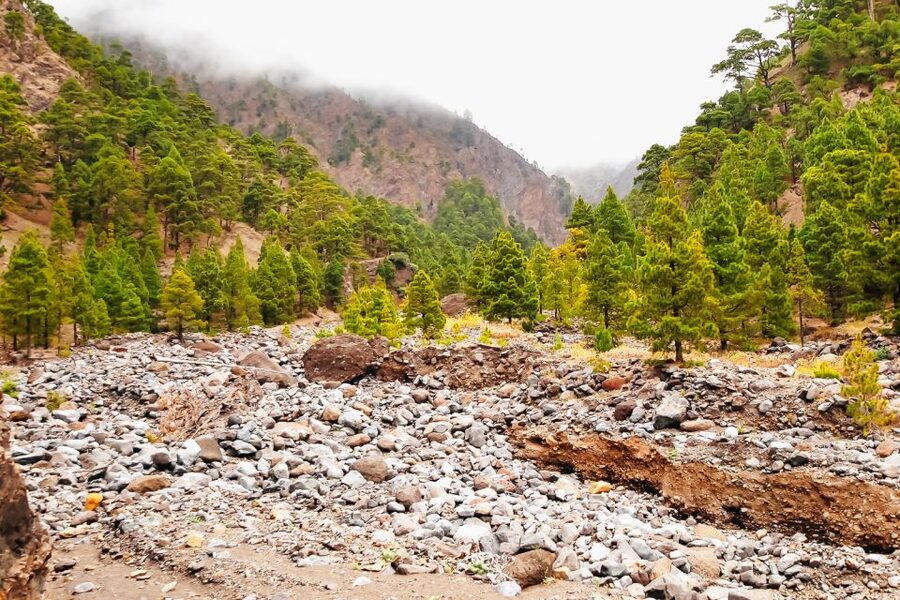La Palma: Caldera de Taburiente National Park Guided Hike - Why the Caldera de Taburiente makes a strong hiking day