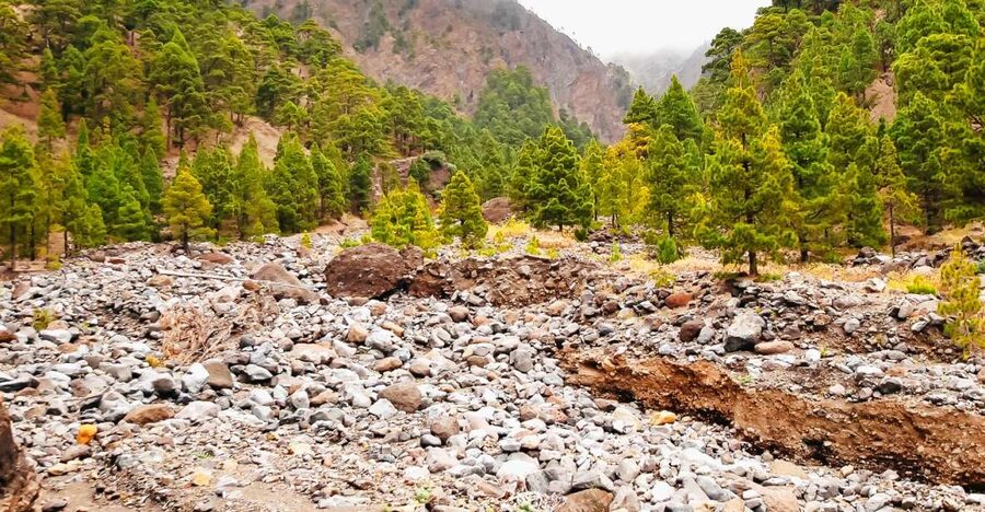 La Palma: Caldera de Taburiente National Park Guided Hike - Starting the PR LP 13 trail at Los Brecitos