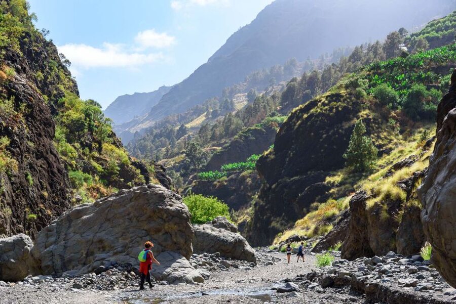 La Palma: Caldera de Taburiente National Park Guided Hike - Wooden bridges, streams, and the green heart of the park