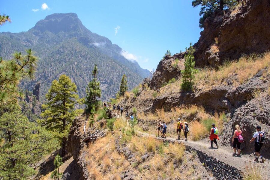 La Palma: Caldera de Taburiente National Park Guided Hike - From the meeting point to Los Brecitos