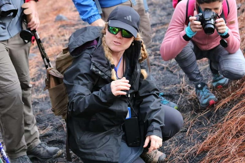 La Palma: Tajogaite Volcano Guided Hike - Is $43 good value for this half-day hike?