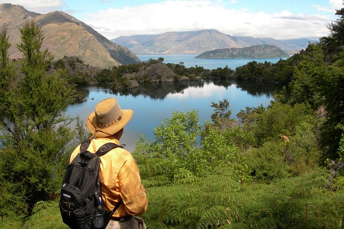 Lake Cruise & Mou Waho Island Nature Walk - Why Mou Waho feels different from a standard lake cruise