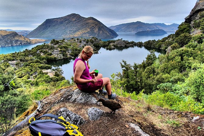Lake Cruise & Mou Waho Island Nature Walk - Who should book this Mou Waho outing
