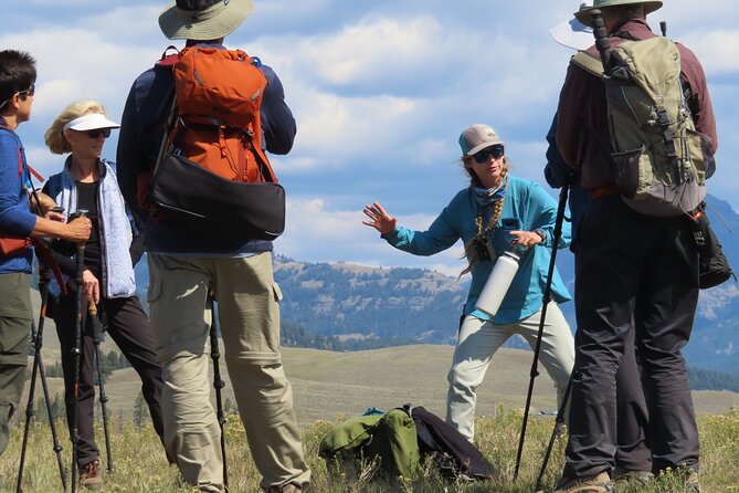 Lamar Valley Safari Hiking Tour with Lunch - A six-hour morning shaped by wildlife