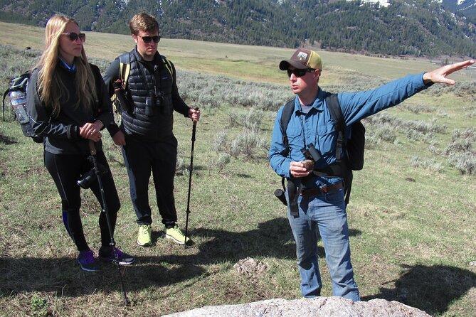 Lamar Valley Safari Hiking Tour with Lunch - What the guides add to the day