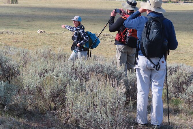 Lamar Valley Safari Hiking Tour with Lunch - Who should book this hike