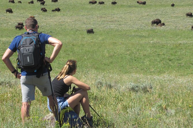 Lamar Valley: Safari Hiking Tour with Lunch - Six miles through open Yellowstone country