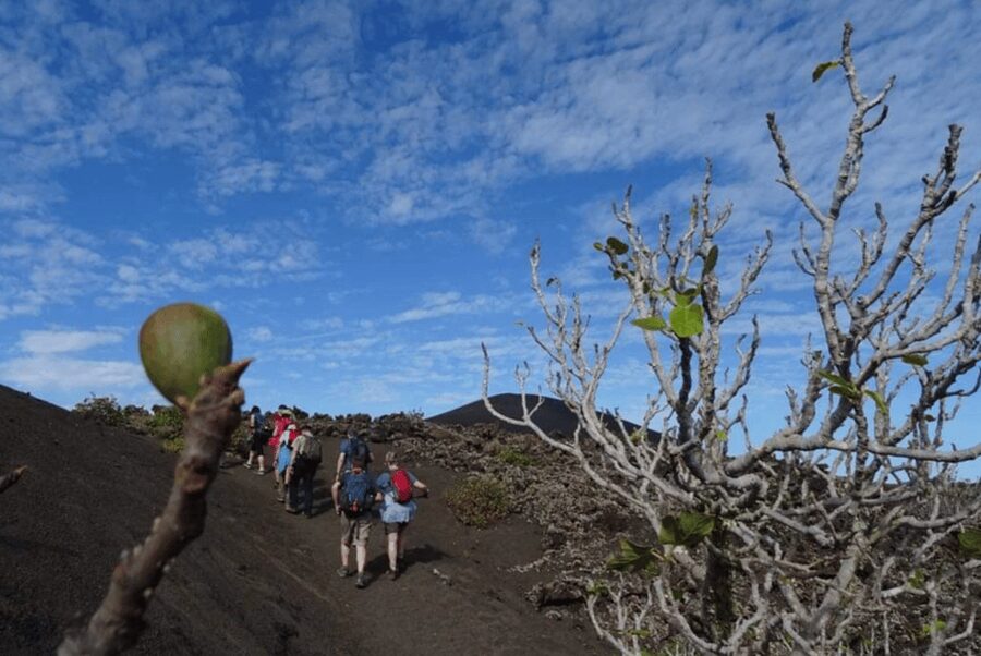 Lanzarote: Hike Across Timanfaya's Volcanic Landscapes - A relaxed walk, but not a soft option