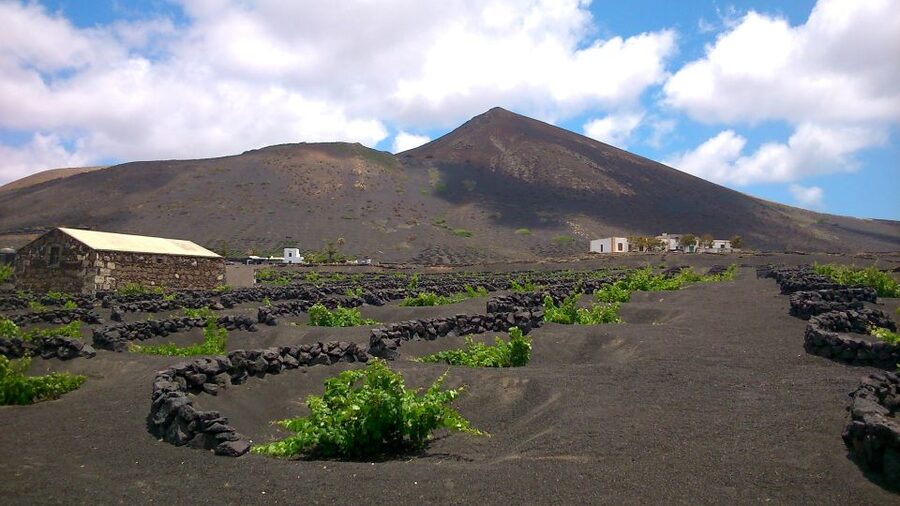 Lanzarote: La Geria Vineyards Hiking Tour - Why La Geria feels like a farming miracle