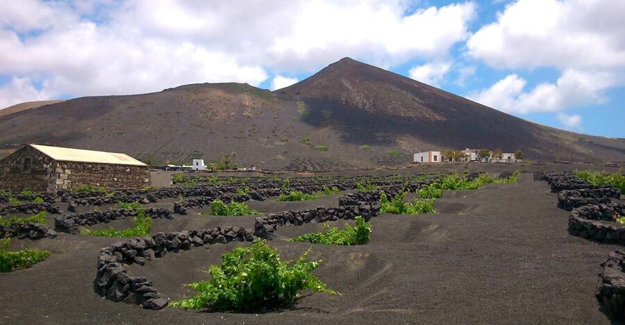 Lanzarote: La Geria Vineyards Hiking Tour - What to bring for a better morning