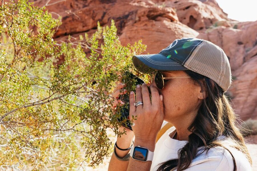 Las Vegas: Valley of Fire Guided Hike with Drinks and Snacks - Choosing between easy, moderate, and difficult