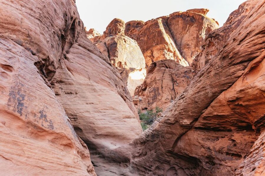 Las Vegas: Valley of Fire Guided Hike with Drinks and Snacks - Petroglyphs, arches, caves, and desert wildlife