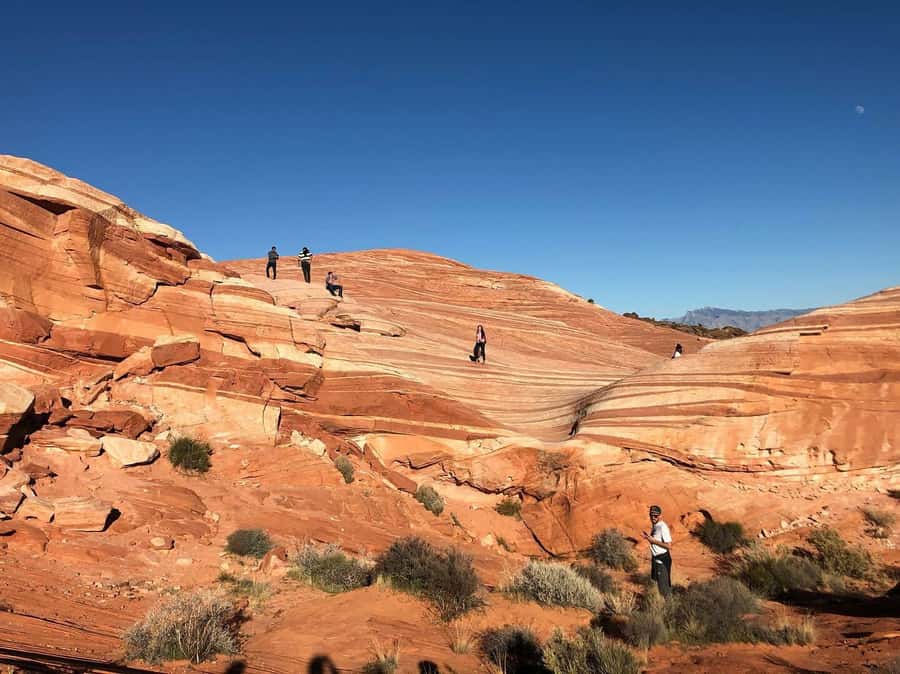 Las Vegas: Valley of Fire Half-Day Guided Hike with Pickup - Hotel pickup and the small-group setup